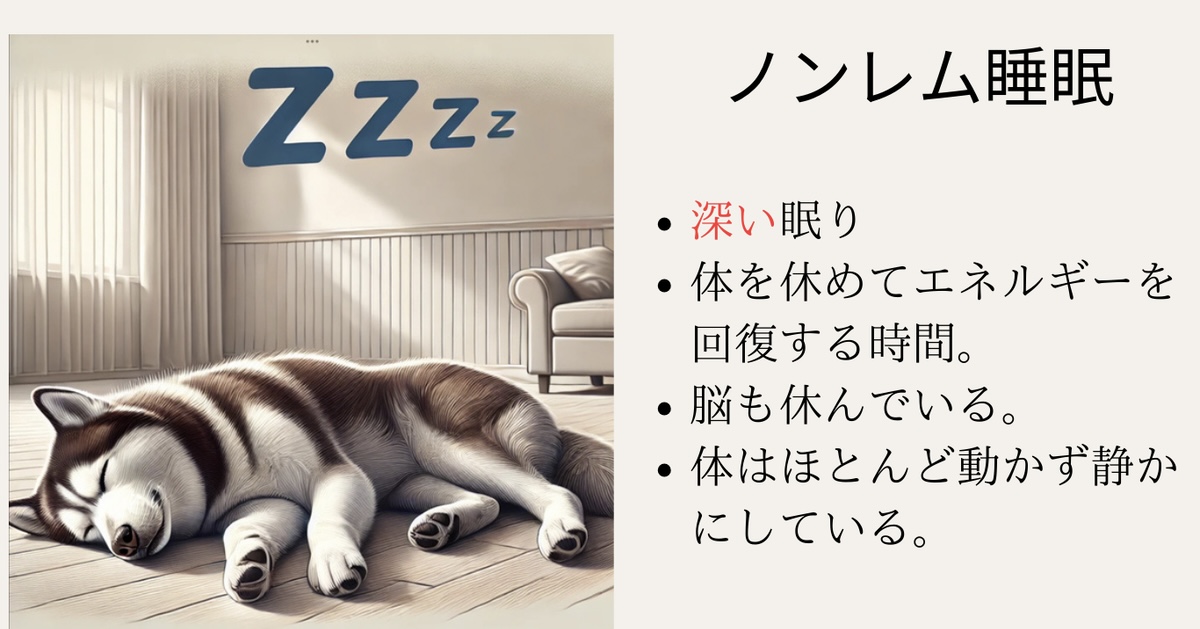 ノンレム睡眠